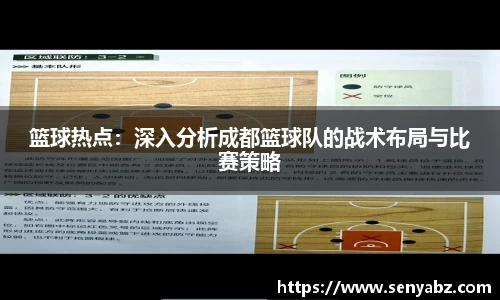 篮球热点：深入分析成都篮球队的战术布局与比赛策略